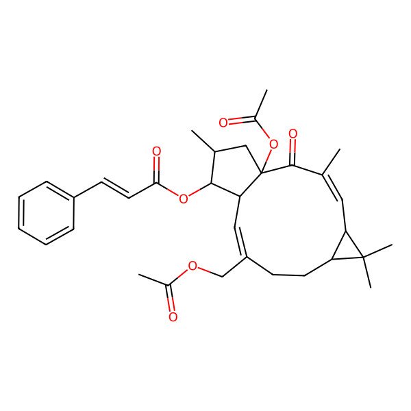 2D Structure of [(1R,3E,5R,7S,10E,12S,13S,14S)-1-acetyloxy-10-(acetyloxymethyl)-3,6,6,14-tetramethyl-2-oxo-13-tricyclo[10.3.0.05,7]pentadeca-3,10-dienyl] (E)-3-phenylprop-2-enoate