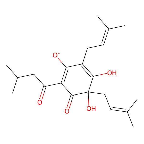 2D Structure of (4R)-4,5-dihydroxy-2-(3-methylbutanoyl)-4,6-bis(3-methylbut-2-enyl)-3-oxocyclohexa-1,5-dien-1-olate 2D Structure of (4R)-4,5-dihydroxy-2-(3-methylbutanoyl)-4,6-bis(3-methylbut-2-enyl)-3-oxocyclohexa-1,5-dien-1-olate