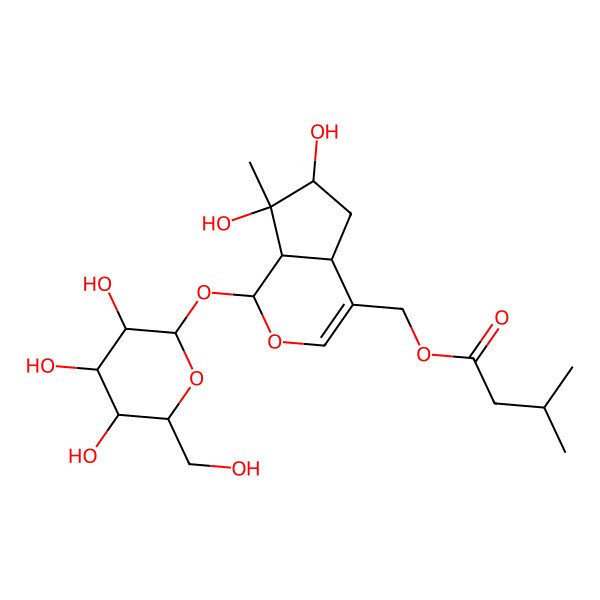 2D Structure of [(6S)-6,7-dihydroxy-7-methyl-1-[(2R,3R,4S,5S,6R)-3,4,5-trihydroxy-6-(hydroxymethyl)oxan-2-yl]oxy-4a,5,6,7a-tetrahydro-1H-cyclopenta[c]pyran-4-yl]methyl 3-methylbutanoate