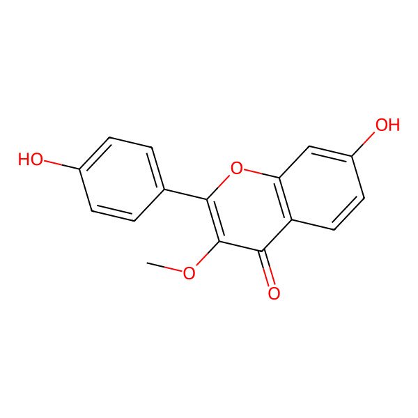 2D Structure of 7-Hydroxy-2-(4-hydroxyphenyl)-3-methoxy-4H-1-benzopyran-4-one