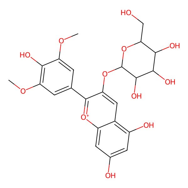 2D Structure of (2R,3R,4S,5S,6R)-2-[5,7-dihydroxy-2-(4-hydroxy-3,5-dimethoxyphenyl)chromenylium-3-yl]oxy-6-(hydroxymethyl)oxane-3,4,5-triol