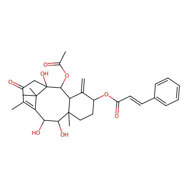 2D Structure of [(1S,2S,3R,5S,8R,9R,10R)-2-acetyloxy-1,9,10-trihydroxy-8,12,15,15-tetramethyl-4-methylidene-13-oxo-5-tricyclo[9.3.1.03,8]pentadec-11-enyl] (Z)-3-phenylprop-2-enoate