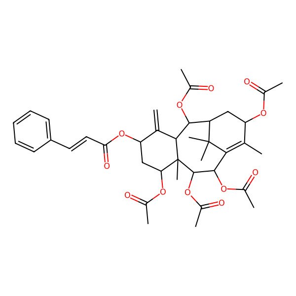 2D Structure of [(2R,3R,5S,7S,8S,9R,10R,13S)-2,7,9,10,13-pentaacetyloxy-8,12,15,15-tetramethyl-4-methylidene-5-tricyclo[9.3.1.03,8]pentadec-11-enyl] (E)-3-phenylprop-2-enoate