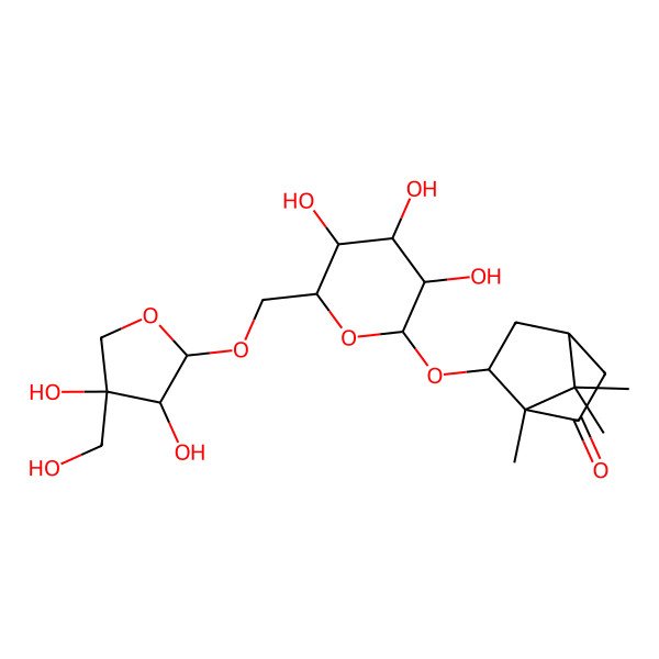 2D Structure of (1R,4S,6S)-6-[(2R,3R,4S,5S,6R)-6-[[(2R,3R,4R)-3,4-dihydroxy-4-(hydroxymethyl)oxolan-2-yl]oxymethyl]-3,4,5-trihydroxyoxan-2-yl]oxy-1,7,7-trimethylbicyclo[2.2.1]heptan-2-one