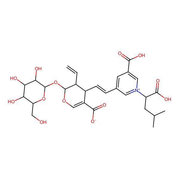 2D Structure of (2S,3R,4S)-4-[(E)-2-[5-carboxy-1-[(1S)-1-carboxy-3-methylbutyl]pyridin-1-ium-3-yl]ethenyl]-3-ethenyl-2-[(2S,3R,4S,5S,6R)-3,4,5-trihydroxy-6-(hydroxymethyl)oxan-2-yl]oxy-3,4-dihydro-2H-pyran-5-carboxylate