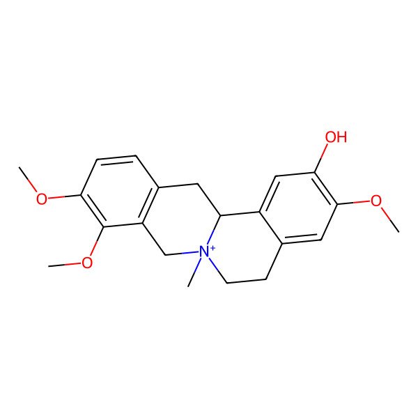2D Structure of (7R,13aS)-3,9,10-trimethoxy-7-methyl-6,8,13,13a-tetrahydro-5H-isoquinolino[2,1-b]isoquinolin-7-ium-2-ol