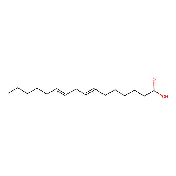 2D Structure of 7Z,10Z-Hexadecadienoic acid