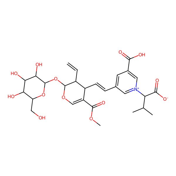 2D Structure of (2S)-2-[3-carboxy-5-[(E)-2-[(2S,3R,4S)-3-ethenyl-5-methoxycarbonyl-2-[(2S,3R,4S,5S,6R)-3,4,5-trihydroxy-6-(hydroxymethyl)oxan-2-yl]oxy-3,4-dihydro-2H-pyran-4-yl]ethenyl]pyridin-1-ium-1-yl]-3-methylbutanoate
