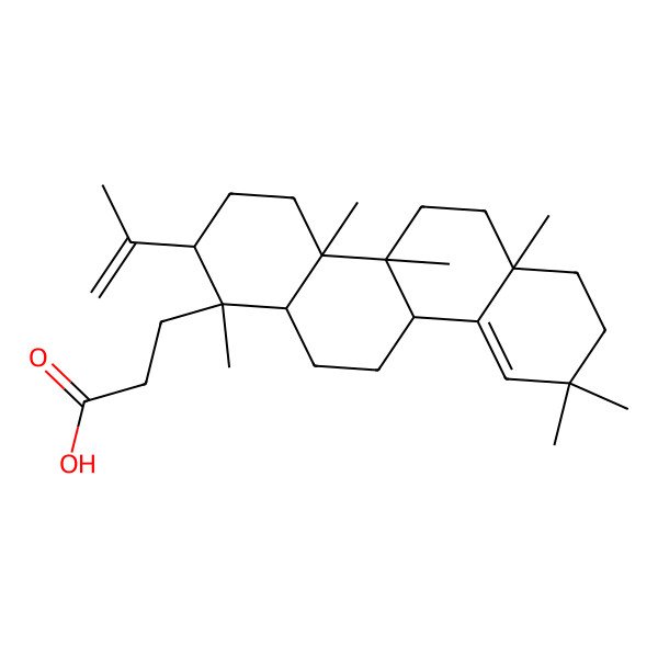 2D Structure of 3-[(1S,2S,4aR,4bR,6aR,10bS,12aR)-1,4a,4b,6a,9,9-hexamethyl-2-prop-1-en-2-yl-3,4,5,6,7,8,10b,11,12,12a-decahydro-2H-chrysen-1-yl]propanoic acid