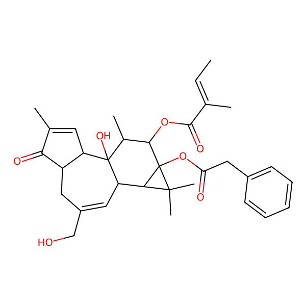 2D Structure of [(1R,2R,6R,10S,11R,13S,14R,15R)-1-hydroxy-8-(hydroxymethyl)-4,12,12,15-tetramethyl-5-oxo-13-(2-phenylacetyl)oxy-14-tetracyclo[8.5.0.02,6.011,13]pentadeca-3,8-dienyl] (E)-2-methylbut-2-enoate
