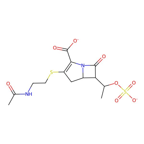 2D Structure of (5R,6R)-3-(2-acetamidoethylsulfanyl)-7-oxo-6-[(1S)-1-sulfonatooxyethyl]-1-azabicyclo[3.2.0]hept-2-ene-2-carboxylate