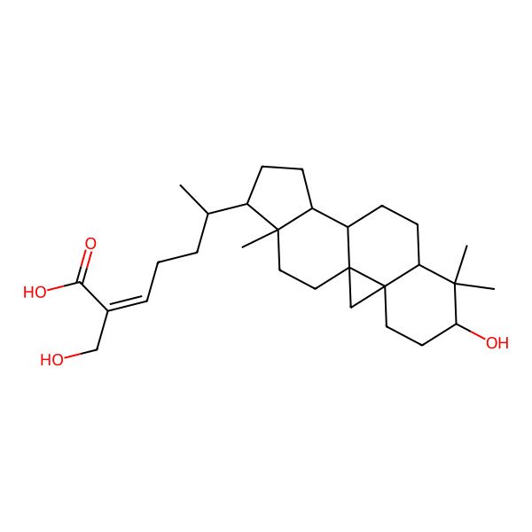 2D Structure of (Z)-2-(hydroxymethyl)-6-[(1S,3R,6S,15R,16R)-6-hydroxy-7,7,16-trimethyl-15-pentacyclo[9.7.0.01,3.03,8.012,16]octadecanyl]hept-2-enoic acid