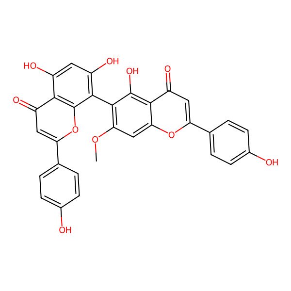2D Structure of 5,7-Dihydroxy-8-[5-hydroxy-2-(4-hydroxyphenyl)-7-methoxy-4-oxochromen-6-yl]-2-(4-hydroxyphenyl)chromen-4-one