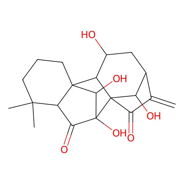 2D Structure of (1R,2S,3S,5S,8S,9R,11R,17R)-3,9,16,17-tetrahydroxy-12,12-dimethyl-6-methylidenepentacyclo[7.6.1.15,8.01,11.02,8]heptadecane-7,10-dione