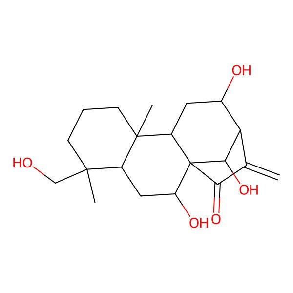 2D Structure of (1R,2R,4S,9R,10S,12S,13R,16R)-2,12,16-trihydroxy-5-(hydroxymethyl)-5,9-dimethyl-14-methylidenetetracyclo[11.2.1.01,10.04,9]hexadecan-15-one