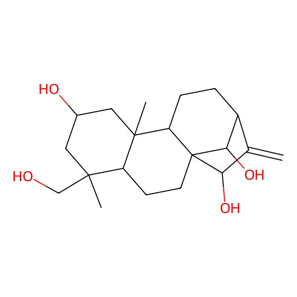 2D Structure of (1S,4S,5S,7S,9R,10S,13S,15S,16R)-5-(hydroxymethyl)-5,9-dimethyl-14-methylidenetetracyclo[11.2.1.01,10.04,9]hexadecane-7,15,16-triol