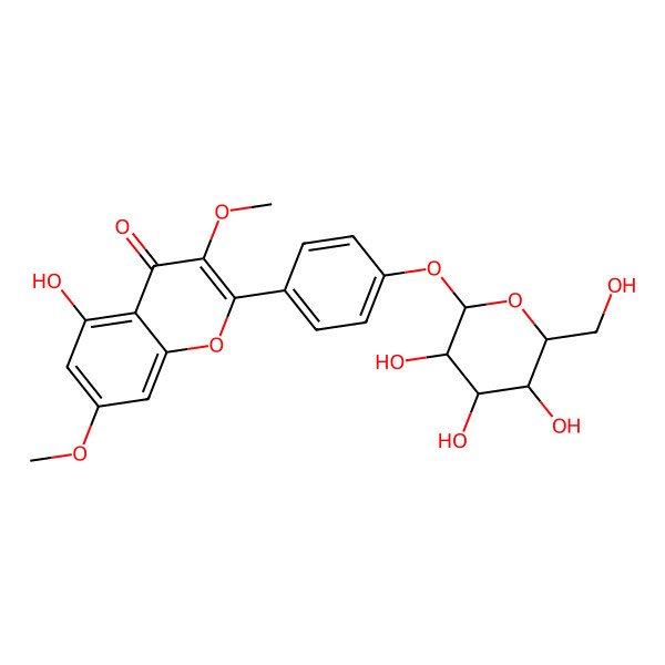 2D Structure of 5-hydroxy-3,7-dimethoxy-2-[4-[(2S,5S)-3,4,5-trihydroxy-6-(hydroxymethyl)oxan-2-yl]oxyphenyl]chromen-4-one