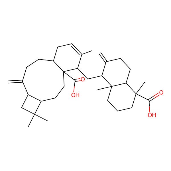 2D Structure of (1S,8aalpha)-1,4abeta-Dimethyl-5beta-[[(1R)-2-methyl-5alpha,6beta-[3-butene-1,3-diyl[(1S)-3,3-dimethylcyclobutane-1alpha,2beta-diyl]ethylene]-6-(hydroxycarbonyl)-2-cyclohexene-1alpha-yl]methyl]-6-methylenedecahydronaphthalene-1beta-carboxylic acid