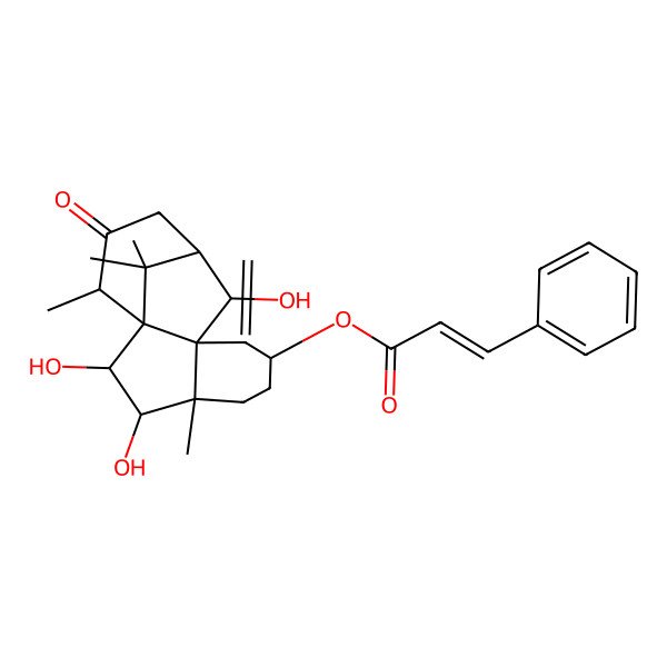 2D Structure of [(2R,3R,4R,7S,10R,11R,14S)-2,3,10-trihydroxy-4,14,15,15-tetramethyl-8-methylidene-13-oxo-7-tetracyclo[9.3.1.01,9.04,9]pentadecanyl] (E)-3-phenylprop-2-enoate