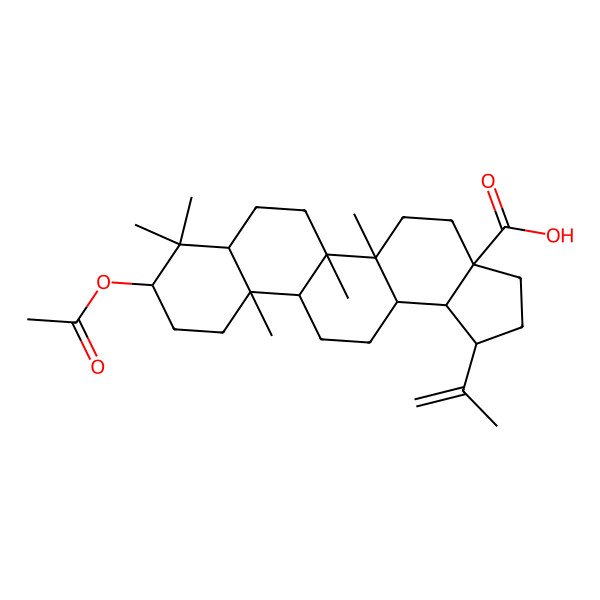 2D Structure of Acetobetulinic acid