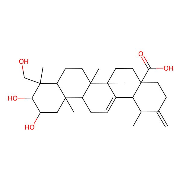2D Structure of Actinidic Acid