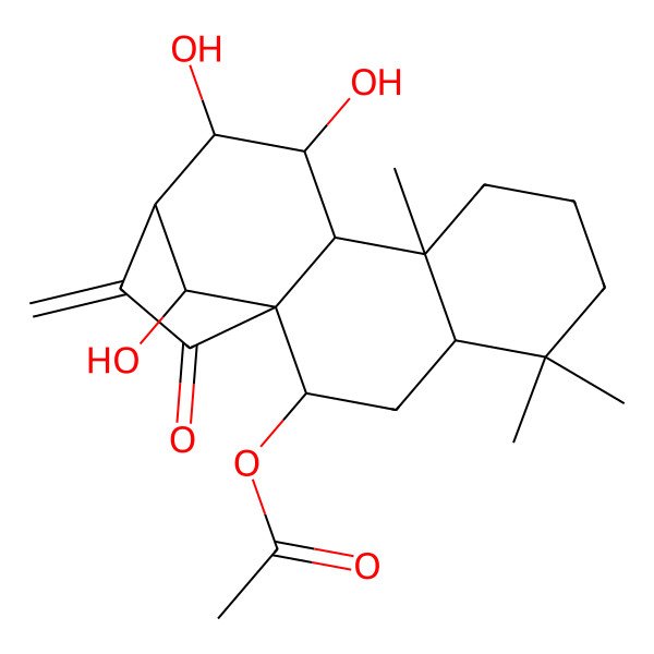 2D Structure of [(1S,2R,4R,9R,10S,11R,12R,13S,16R)-11,12,16-trihydroxy-5,5,9-trimethyl-14-methylidene-15-oxo-2-tetracyclo[11.2.1.01,10.04,9]hexadecanyl] acetate