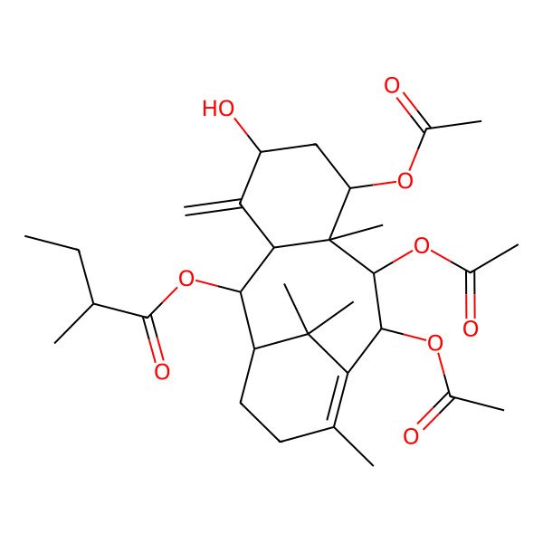 2D Structure of [(2R,3R,5S,7S,8S,9R,10R)-7,9,10-triacetyloxy-5-hydroxy-8,12,15,15-tetramethyl-4-methylidene-2-tricyclo[9.3.1.03,8]pentadec-11-enyl] 2-methylbutanoate