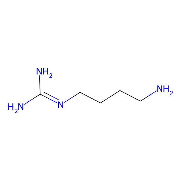 2D Structure of Agmatine