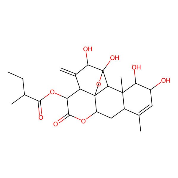 2D Structure of Altissinol B