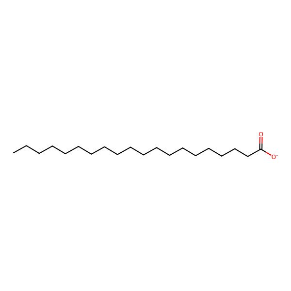 2D Structure of Arachidate