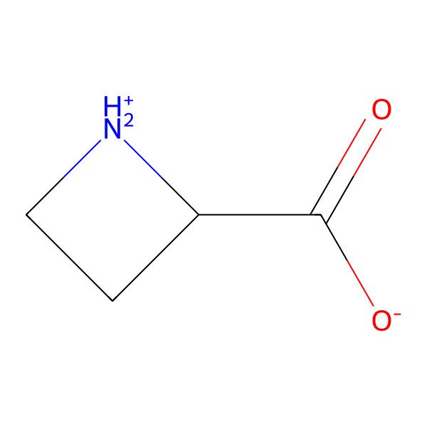 2D Structure of Azetidine-2-carboxylate