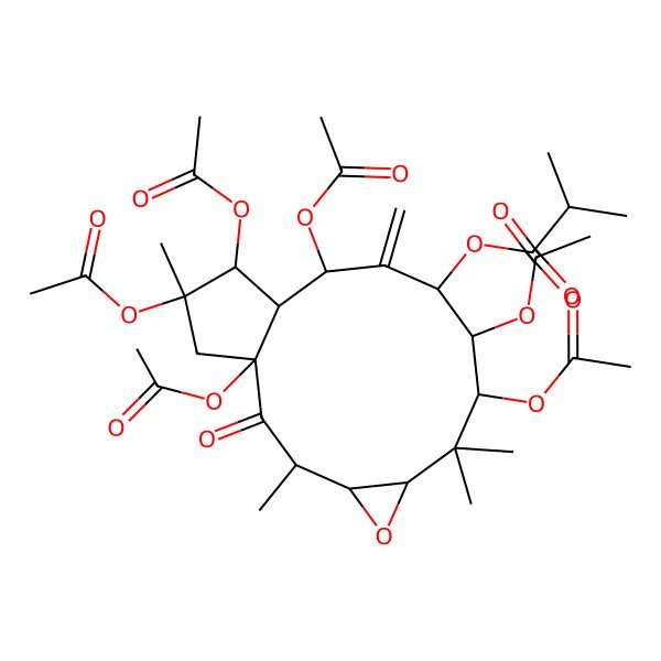 2D Structure of [(1R,3R,4S,6S,8S,9S,10S,12R,13S,14R,15R)-1,8,9,12,14,15-hexaacetyloxy-3,7,7,15-tetramethyl-11-methylidene-2-oxo-5-oxatricyclo[11.3.0.04,6]hexadecan-10-yl] 2-methylpropanoate