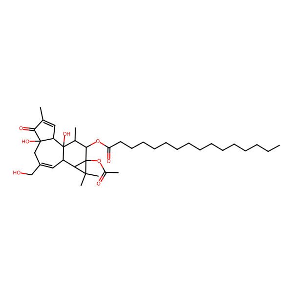 2D Structure of [(1S,2S,6R,10S,11R,13S,14R,15R)-13-acetyloxy-1,6-dihydroxy-8-(hydroxymethyl)-4,12,12,15-tetramethyl-5-oxo-14-tetracyclo[8.5.0.02,6.011,13]pentadeca-3,8-dienyl] hexadecanoate