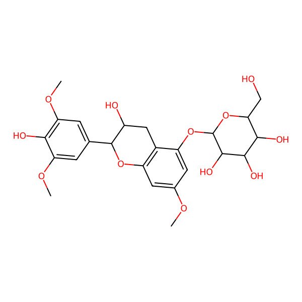 2D Structure of (2S,3R,4S,5S,6R)-2-[[(2R,3S)-3-hydroxy-2-(4-hydroxy-3,5-dimethoxyphenyl)-7-methoxy-3,4-dihydro-2H-chromen-5-yl]oxy]-6-(hydroxymethyl)oxane-3,4,5-triol