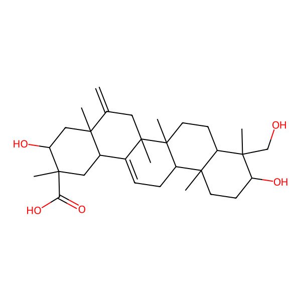 2D Structure of 3,10-dihydroxy-9-(hydroxymethyl)-2,4a,6a,6b,9,12a-hexamethyl-5-methylidene-3,4,6,6a,7,8,8a,10,11,12,13,14b-dodecahydro-1H-picene-2-carboxylic acid