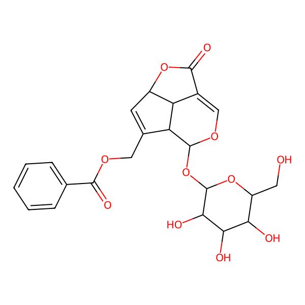 2D Structure of [(4S,7S,8S,11S)-2-oxo-8-[(2S,3R,4S,5S,6R)-3,4,5-trihydroxy-6-(hydroxymethyl)oxan-2-yl]oxy-3,9-dioxatricyclo[5.3.1.04,11]undeca-1(10),5-dien-6-yl]methyl benzoate