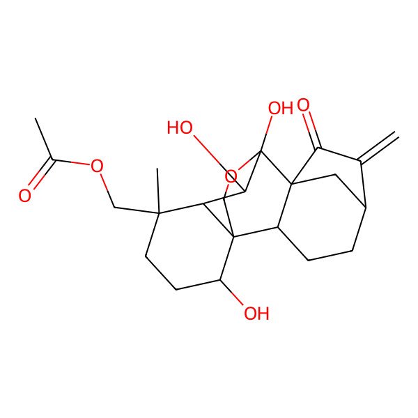 2D Structure of [(1S,2S,5R,8S,9R,10S,11R,12R,15S)-9,10,15-trihydroxy-12-methyl-6-methylidene-7-oxo-17-oxapentacyclo[7.6.2.15,8.01,11.02,8]octadecan-12-yl]methyl acetate