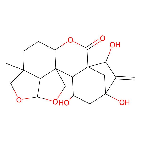 2D Structure of (1S,2S,3R,5R,7R,8S,11S,14R,17S,20R)-3,5,7-trihydroxy-14-methyl-6-methylidene-10,16,18-trioxahexacyclo[12.5.1.15,8.01,11.02,8.017,20]henicosan-9-one