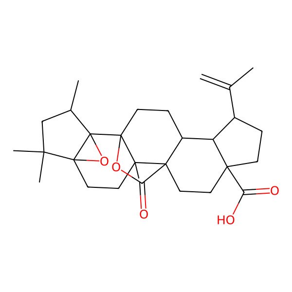 2D Structure of Breynceanothanolic Acid
