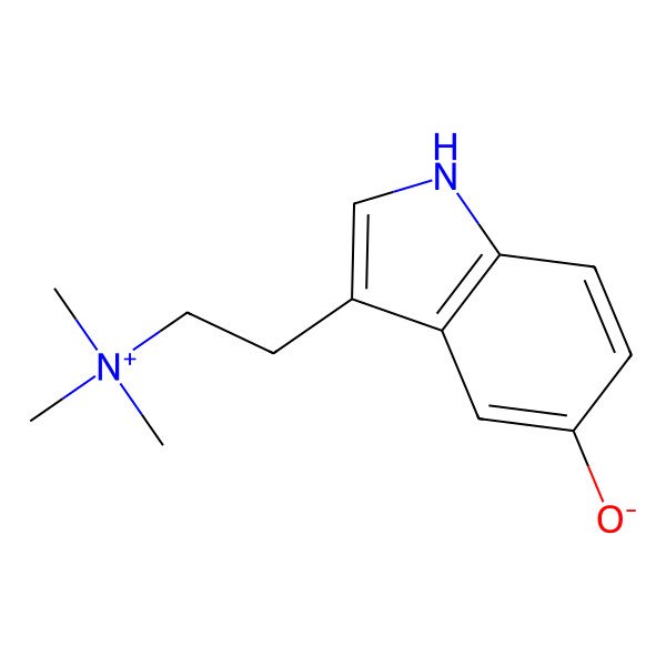 2D Structure of Bufotenidine