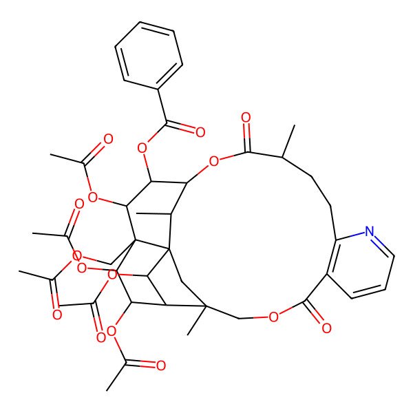 2D Structure of [(19S,20R,21S,22S,26S)-20,22,23,25-tetraacetyloxy-21-(acetyloxymethyl)-3,15,26-trimethyl-6,16-dioxo-5,17-dioxa-11-azapentacyclo[16.7.1.01,21.03,24.07,12]hexacosa-7(12),8,10-trien-19-yl] benzoate