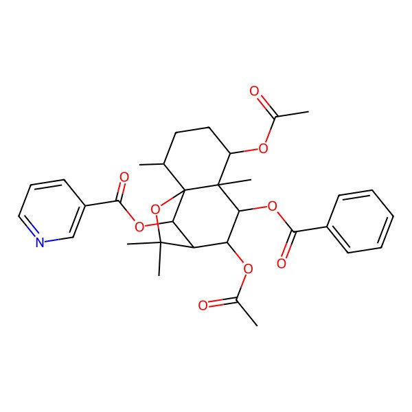 2D Structure of [(1S,2R,5S,6S,7R,8S,9R,12R)-5,8-diacetyloxy-7-benzoyloxy-2,6,10,10-tetramethyl-11-oxatricyclo[7.2.1.01,6]dodecan-12-yl] pyridine-3-carboxylate
