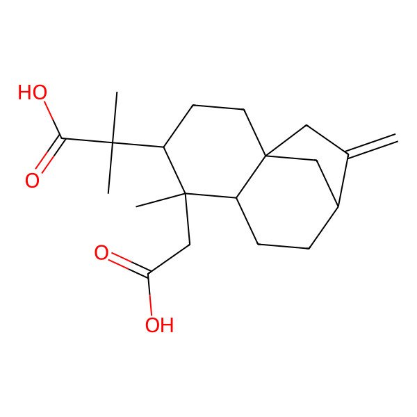 2D Structure of 2-[(1S,4S,5S,6R,9R)-5-(carboxymethyl)-5-methyl-10-methylidene-4-tricyclo[7.2.1.01,6]dodecanyl]-2-methylpropanoic acid