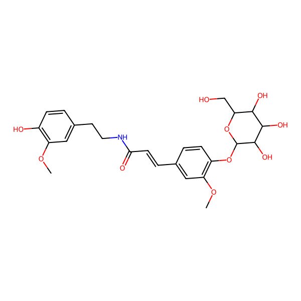 2D Structure of (E)-N-[2-(4-hydroxy-3-methoxyphenyl)ethyl]-3-[3-methoxy-4-[(2S,3R,4S,5R,6R)-3,4,5-trihydroxy-6-(hydroxymethyl)oxan-2-yl]oxyphenyl]prop-2-enamide
