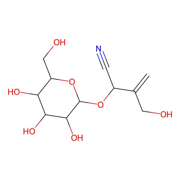 2D Structure of Cardiospermin