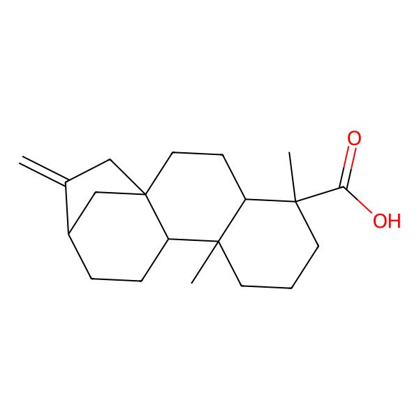 2D Structure of (1S,4S,5S,9S,10R,13R)-5,9-dimethyl-14-methylidenetetracyclo[11.2.1.01,10.04,9]hexadecane-5-carboxylic acid