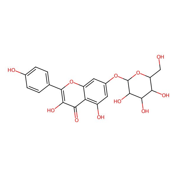 2D Structure of 3,5-dihydroxy-2-(4-hydroxyphenyl)-7-[(2R,3R,4S,5S,6R)-3,4,5-trihydroxy-6-(hydroxymethyl)oxan-2-yl]oxychromen-4-one