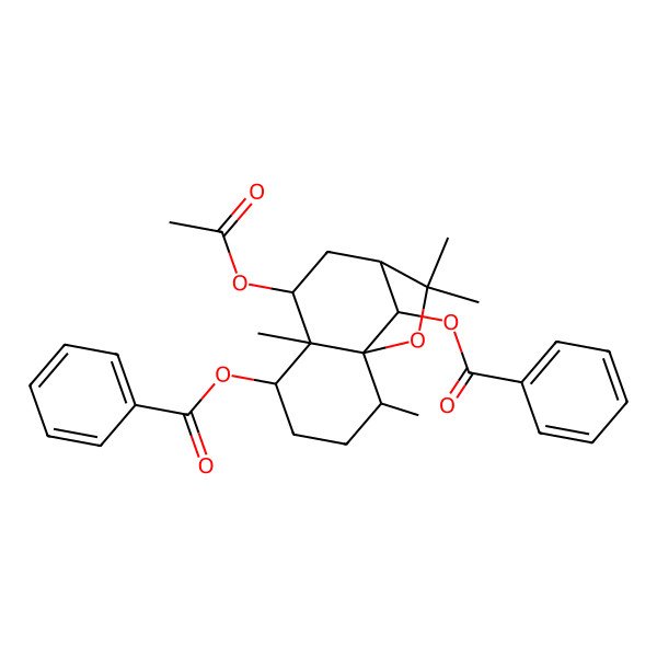 2D Structure of [(1S,2R,5S,6S,7S,9R,12R)-7-acetyloxy-12-benzoyloxy-2,6,10,10-tetramethyl-11-oxatricyclo[7.2.1.01,6]dodecan-5-yl] benzoate
