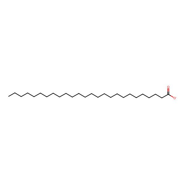2D Structure of Cerotate 2D Structure of Cerotate