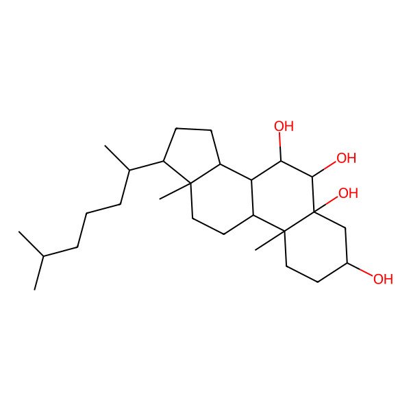 2D Structure of Cholestane-3b,5a,6b,7b-tetrol